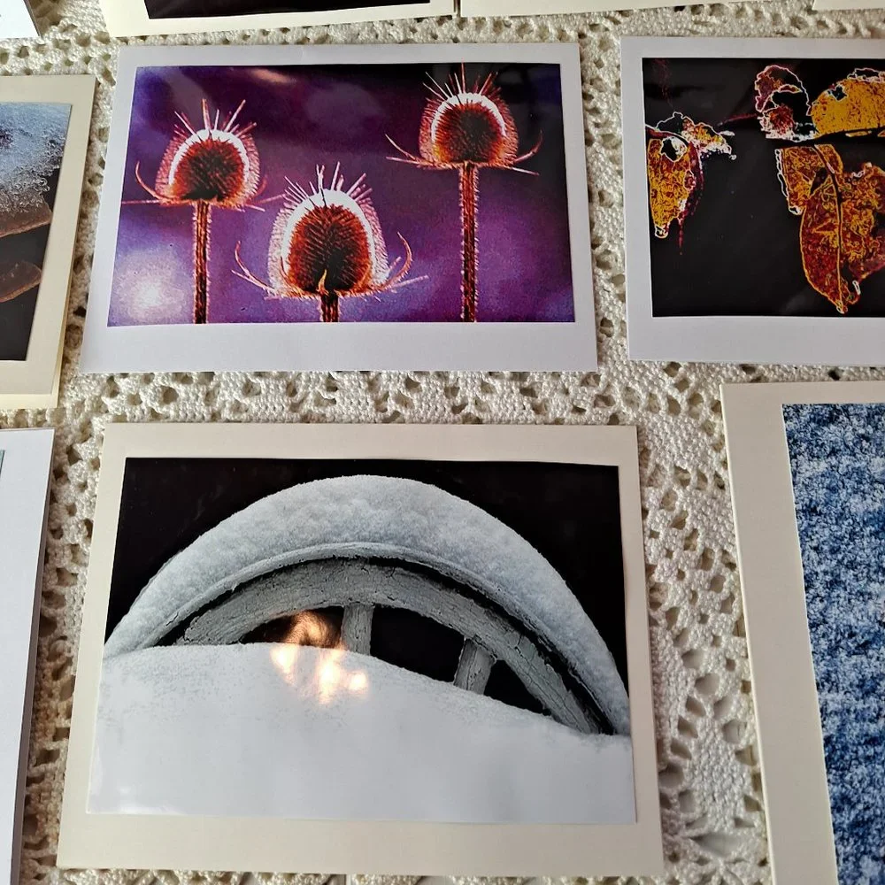 10 Original Photographs All Occasion Greeting Cards